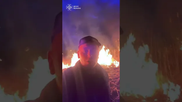 Вогняна доба на Волині: вогонь випалив 19 гектарів землі (фото, відео)