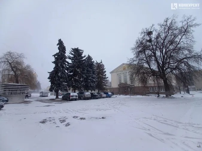 Люті зими повертаються: Луцьк замело снігом (фото)