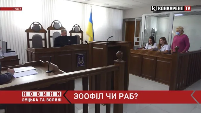«Рабство» біля Луцька. Жінка звинувачує працівника у ґвалтуванні телят (відео)