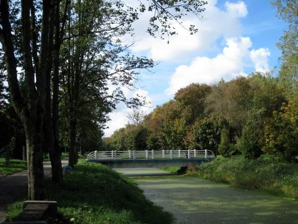 Головне у Луцьку: ТОП новин за четвер, 18 травня
