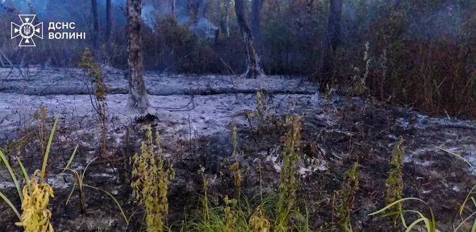 У розпал спеки на Волині побіліла земля: що за аномалія коїться (фото)