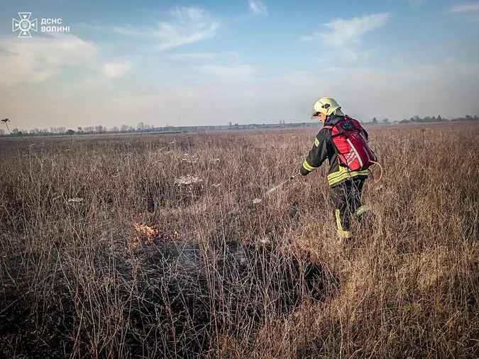 Горіло у кожному районі: на Волині – 31 пожежа (фото)