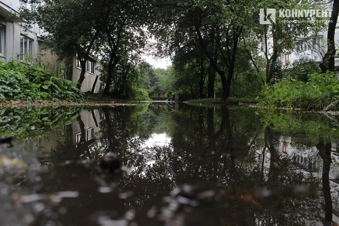 Підтоплені двори і опале листя: наслідки грози у Луцьку (фото)