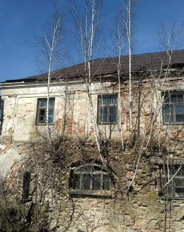 Краєзнавці самотужки намагаються сповільнити руйнування замку в Олиці (фото)