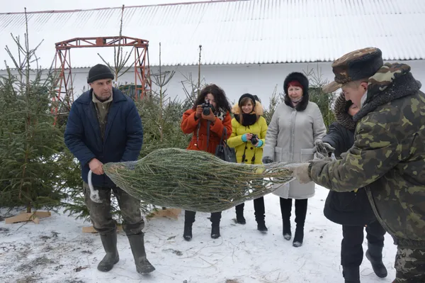Так пакують ялинку