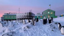 Українські полярники поділились фото 5 незвичайних явищ (фото)