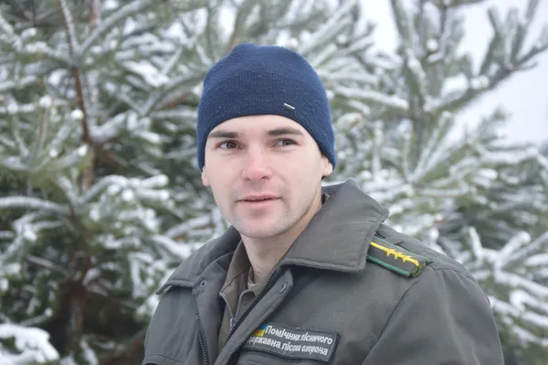 Як на Волині вирощують новорічні ялинки