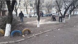 У луцькому дворі незаконно зрізали дерева (фото)