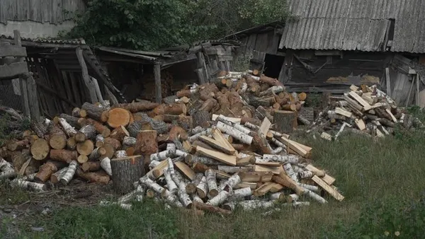 Сама рубає дрова у 86 років: як жителька поліського села дає собі раду у дерев'яній хаті (фото)