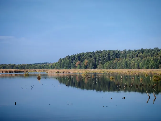 Перехоплює дух: у мережі показали осінні барви Цуманської пущі (фото)