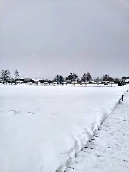 Космічні краєвиди: зима огорнула Світязь у білосніжну ковдру (фото)