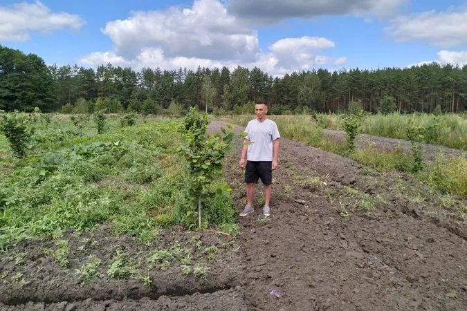 Після війни знайшов справу для душі – ветеран з Волині вирощує кукурудзу та фундук (фото)