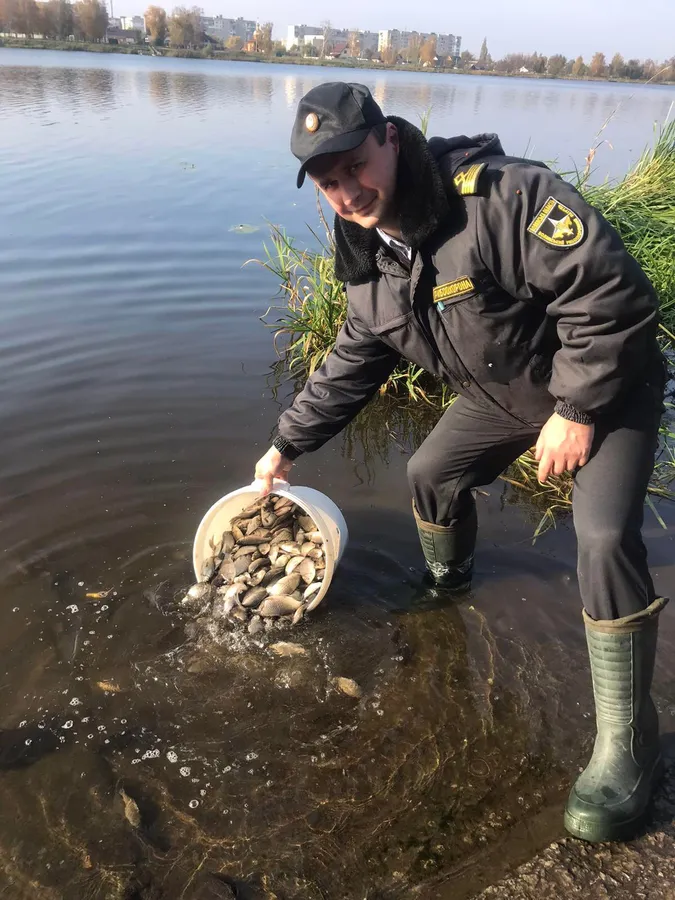 Короп, карась, білий амур: у Ковельське водосховище вселили понад тонну риби (фото, відео)