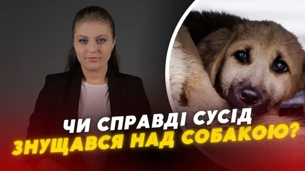 Труїв, кидав голки, а потім застрелив: на Волині чоловік звинувачує сусіда у вбивстві пса (відео)
