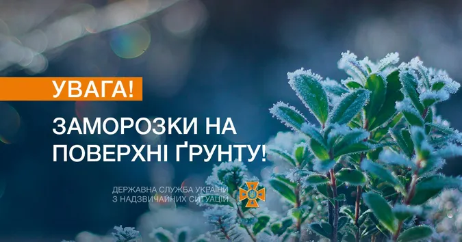 «Жовтий» рівень небезпеки: волинян попередили про заморозки на ґрунті
