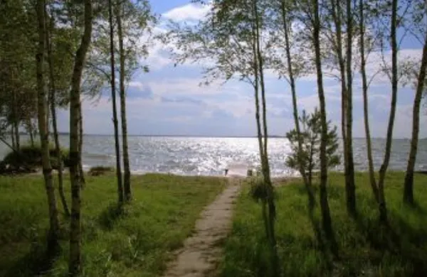 Де відпочити на Волині: топ-5 унікальних озер, де можна купатися і ловити рибу