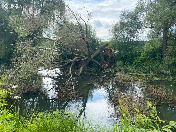 Блокувало течію: на Волині з річки дістали повалене дерево (фото)
