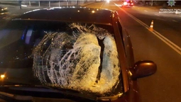 ДТП на проспекті Василя Мойсея: є жертви (фото)
