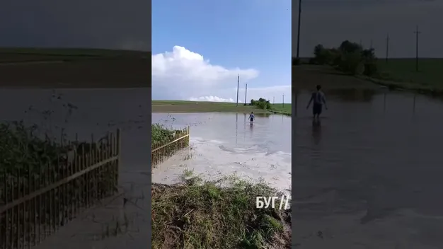 У селі на Волині після зливи затопило приватні обійстя (відео)