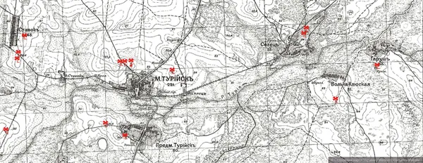 Розташування млинів на околицях міста Турійськ, карта 1888 року