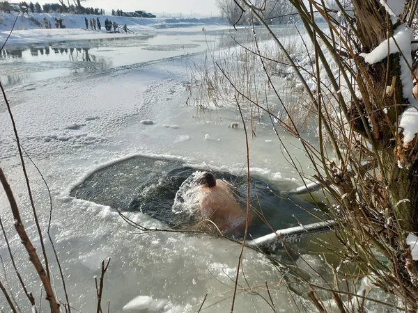 На Стиру в Луцьку освятили воду, люди пірнають в ополонку (фото, відео)