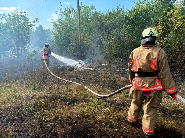 Вогонь охопив півтора гектара: на Волині горіли суха трава, чагарники та торф’яник (фото)