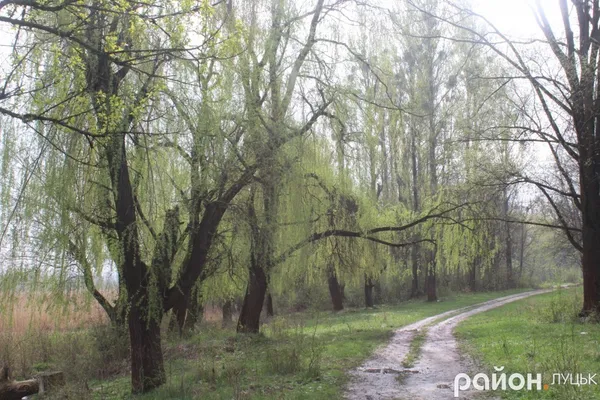 Ботанічний сад на Волині може стати ще кращим