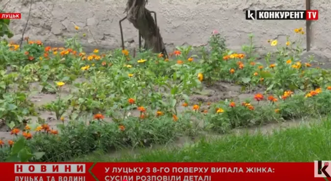 Тіло знайшли у квітнику: у Луцьку з 8-го поверху випала жінка (відео)