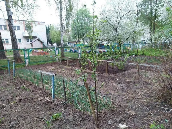 Геть штахети та корчі під вікнами будинків: у Луцьку «зносять» паркани (фото)
