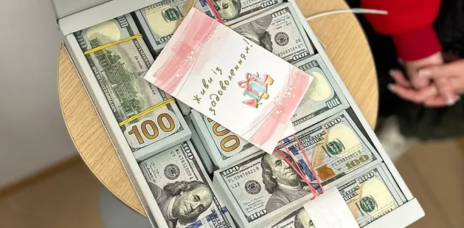 У депутатки Хмельницької міськради знайшли понад 1,5 млн незадекларованих доларів (фото)