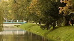 Що не так із центральним парком Луцька: думки містян  (фото)
