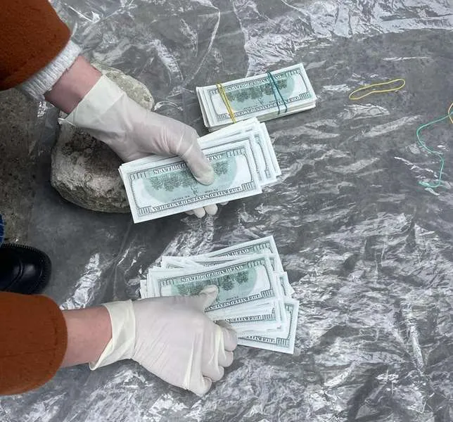 Волинянці, яка продала дитину подруги за $30 000, дали іспитовий строк (фото)