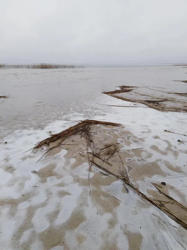 Світязь повертається: показали свіжі фото з волинського озера (фото)