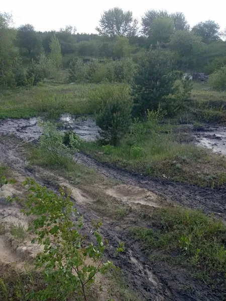 На Ковельщині нечистоти зливали прямо на землю (фото)