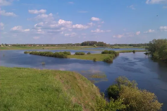 На Волині розорали берег Західного Бугу на 2,2 мільйони гривень