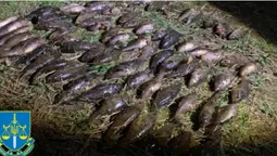 На Волині браконьєр заплатить майже мільйон гривень за впійману рибу (фото)