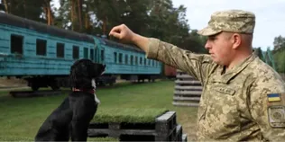 Пройшов гарячі точки, а тепер підкорює кінологію: історія прикордонника з Волині Богдана та Вулі (фото)