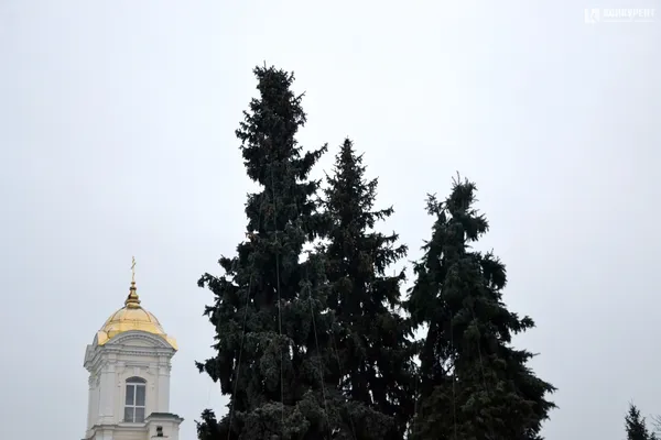У Луцьку почали прикрашати три головні ялинки (фото)