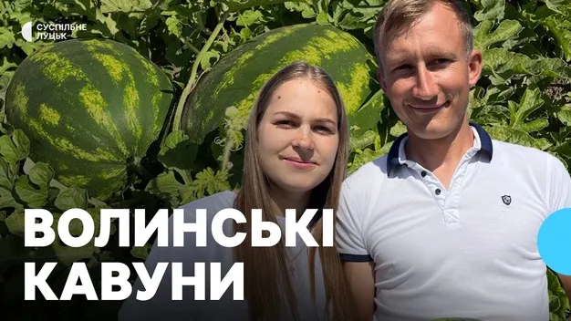 «Усі казали – не вийде»: волинянин вирощує 40 сортів кавунів (фото, відео)