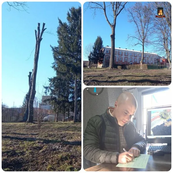 У Луцьку неподалік «Старого міста» незаконно позрізали дерева