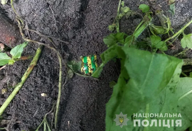 Обшуки в Ковелі: чотирьом наркоділкам оголосили підозру, одного взяли під варту