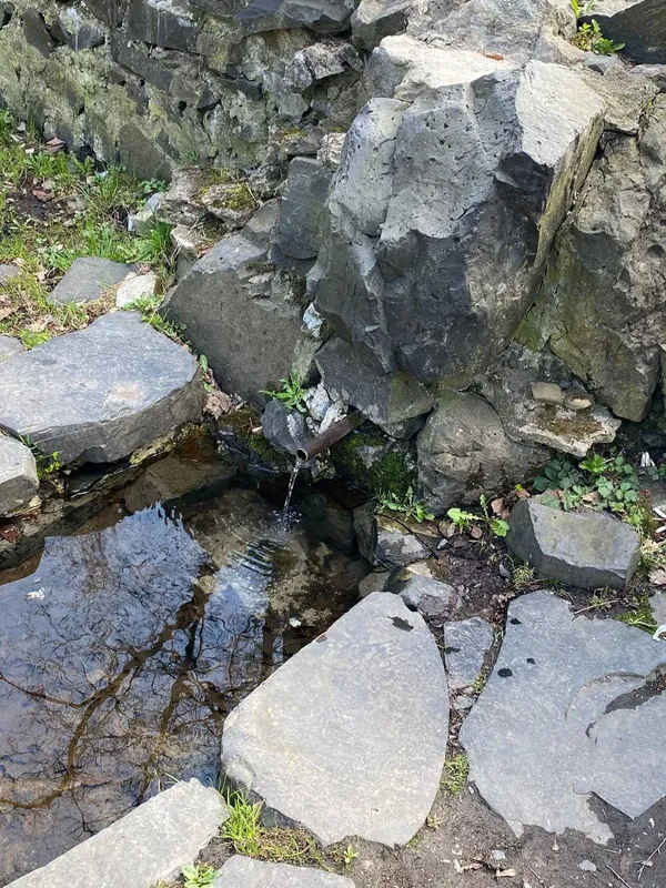 В Оконських джерелах на Волині, що біля форелевого господарства, напір води досі залишається низьким