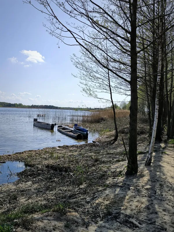 Неймовірно прозоре і чисте: де на Волині причаїлося озеро, де багато риби (фото)