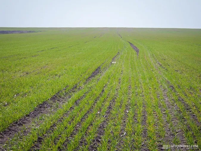 Як проходить посівна кампанія у волинських аграріїв