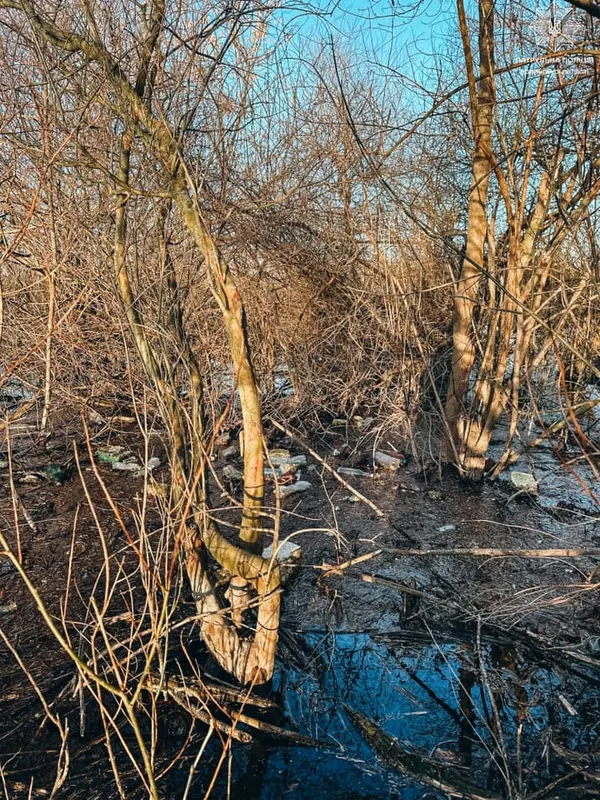 На Волині патрульні сіли в байдарки і попливли Стиром: що шукали (фото)