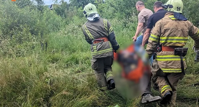 Дерево вбило чоловіка та «відрубало» громаду на Прикарпатті від світла (фото)