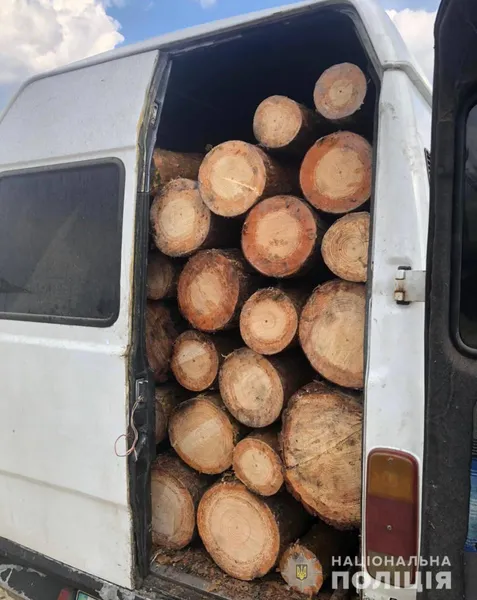 Напакували бус «під зав'язку»: на Волині зловили крадіїв лісу (фото, відео)
