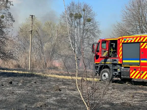 Біля Луцька через підпал сухої трави горіли будинок і сарай (фото)