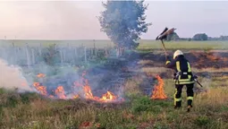 Через необережність з вогнем на Волині сталися п'ять пожеж у полях (фото)