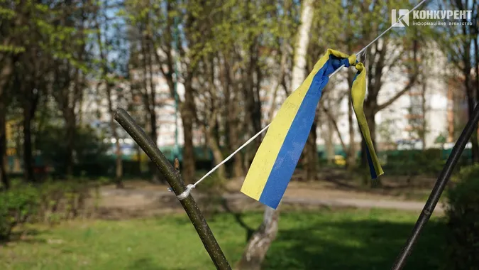 Сонце, квіти і коти: Луцьк заполонила справжня весна (фото)